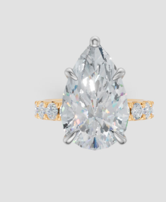 Private Design Consultation