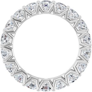 Platinum 3.8 mm Round Eternity Band Mounting