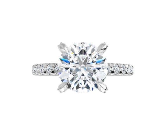 “Radiant Reflections”  Up To A 5ct Lab Grown Diamond Custom Ring